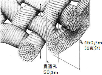 綿織布の繊維構造
